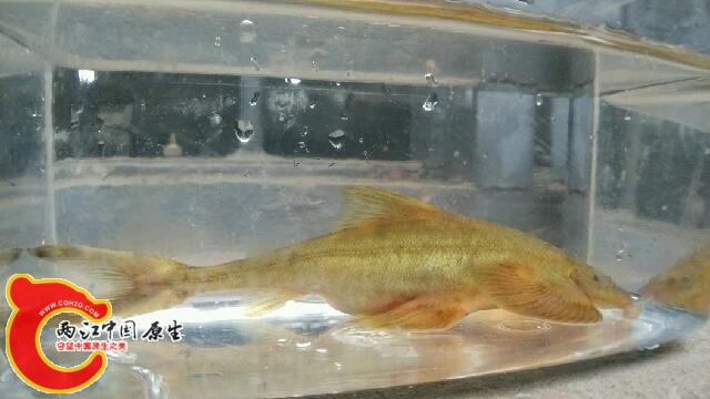 IMG_20140528_103036.jpg