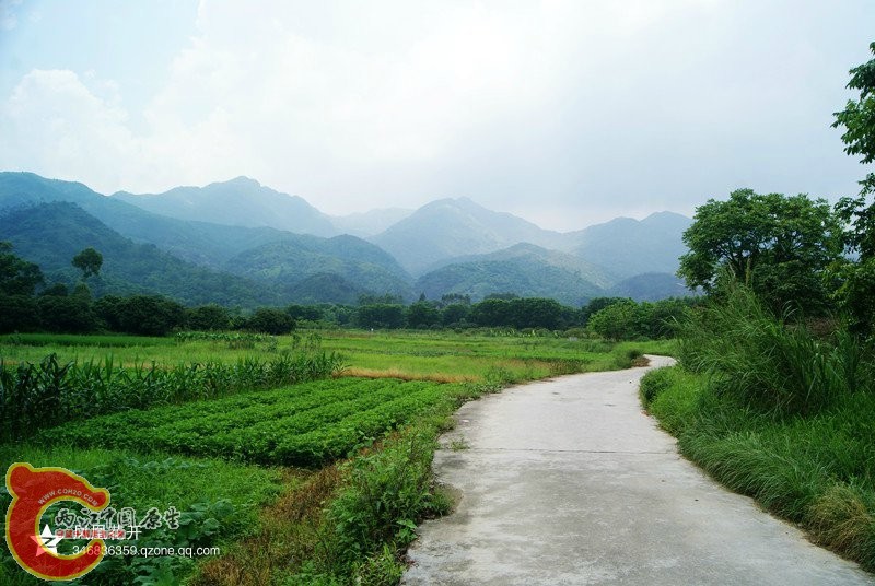 05.jpg