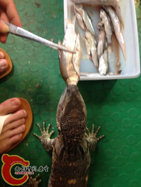 QQ图片20140529161129.jpg