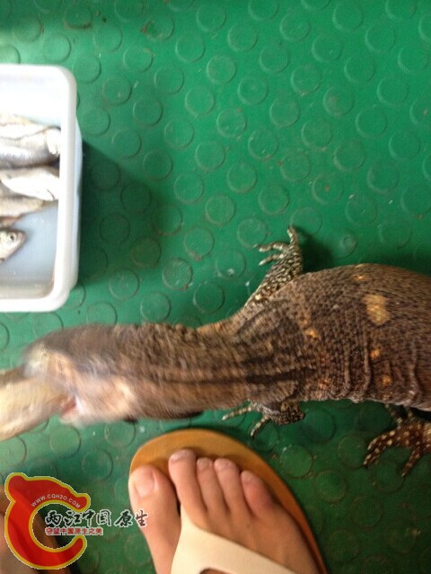 QQ图片20140529161158.jpg