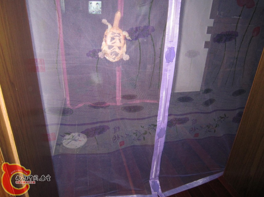 569195.JPG