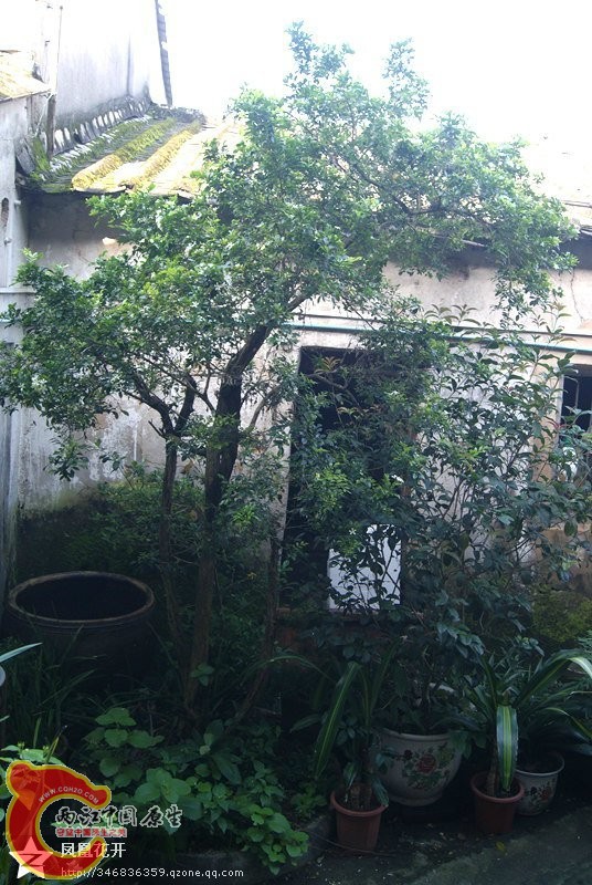 05.jpg