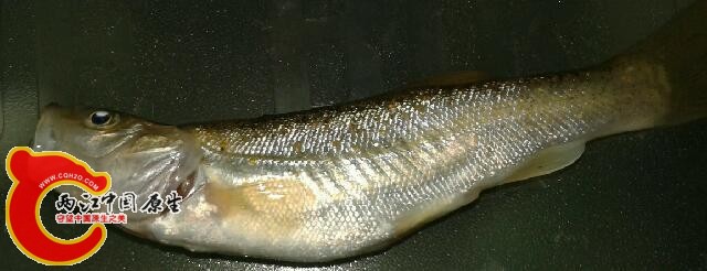 20140531_211535-1.jpg