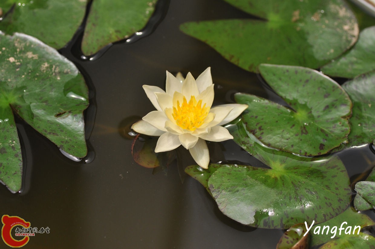 DSC_0076.jpg