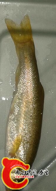 20140601_202631-1.jpg