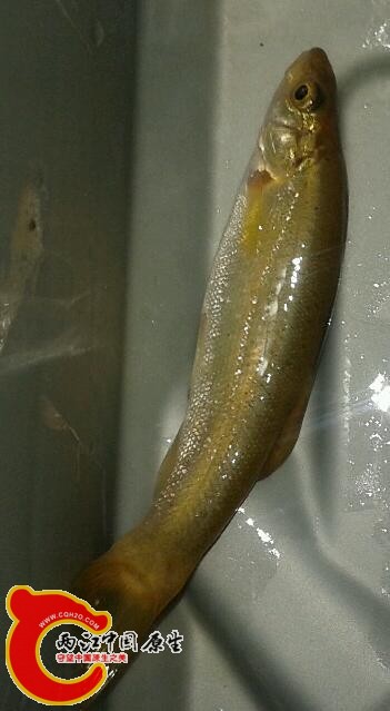 20140601_202638-1.jpg