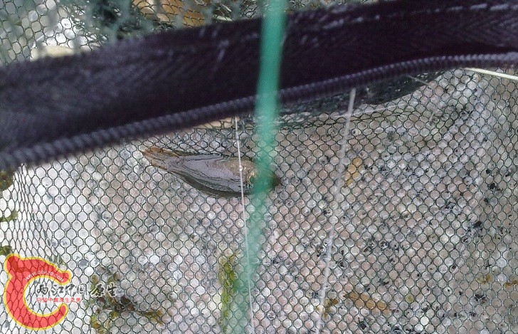 20140602353.jpg
