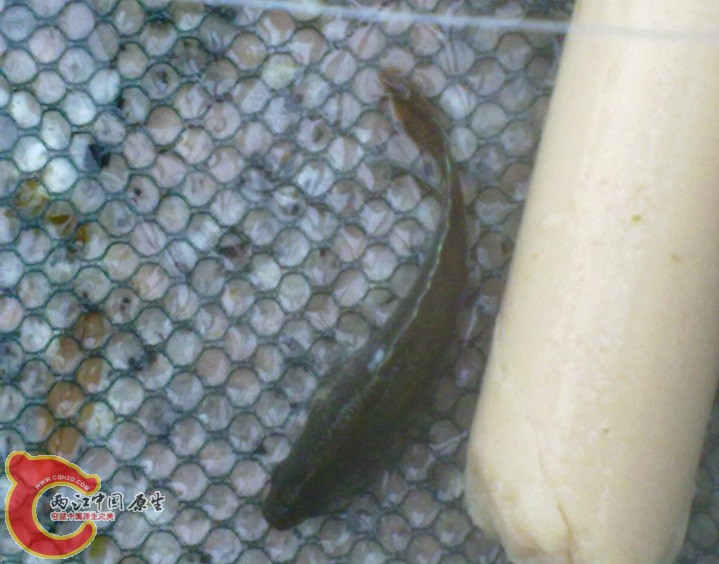 20140602355.jpg