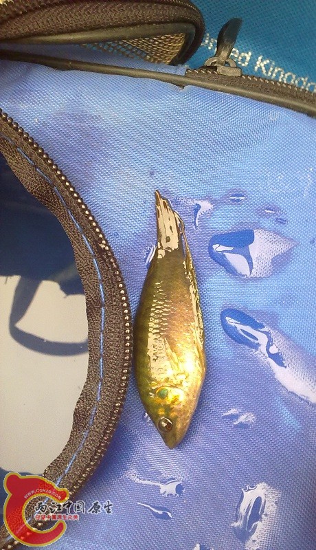 20140602359.jpg