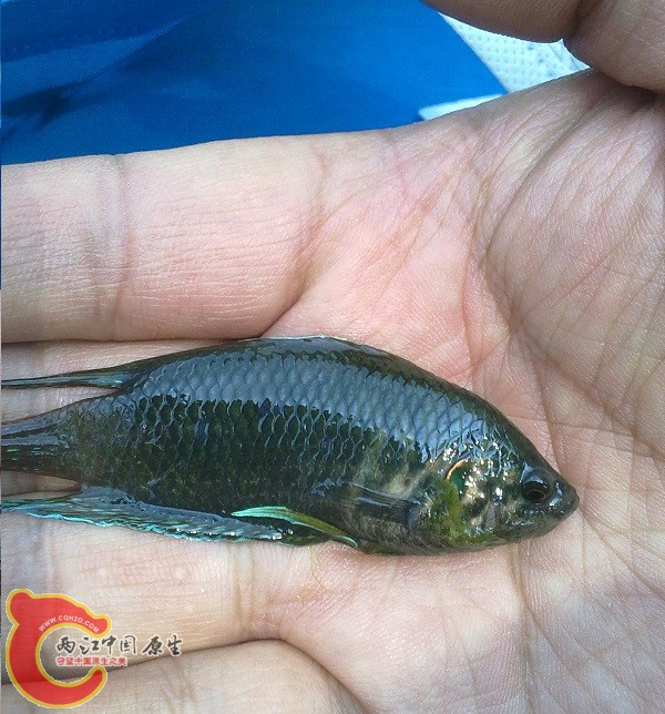 20140602360.jpg