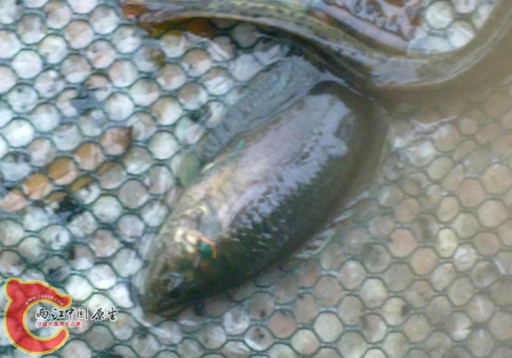 20140602357.jpg