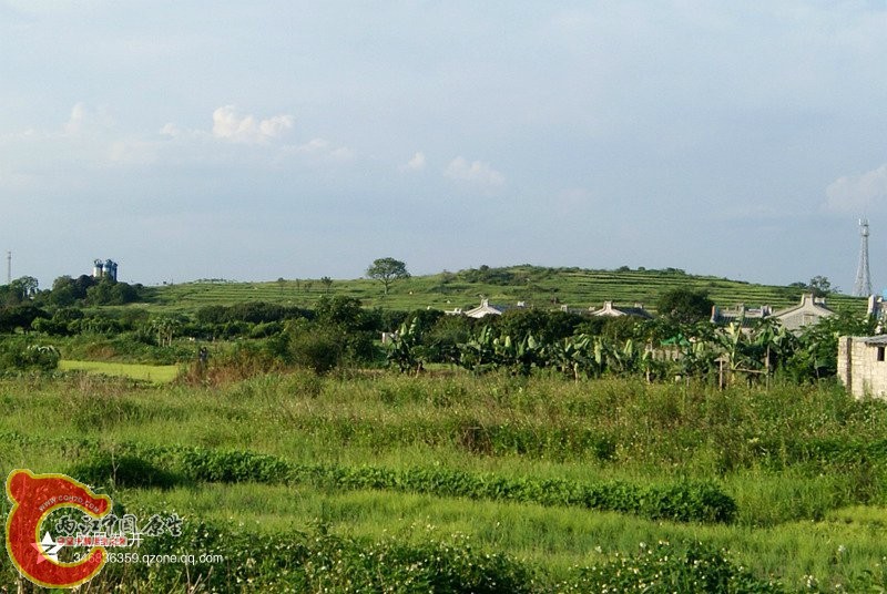 01.jpg