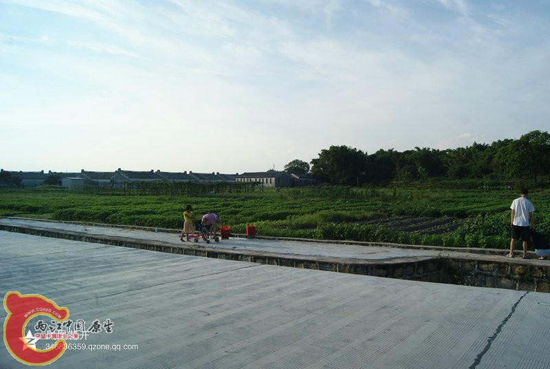 02.jpg