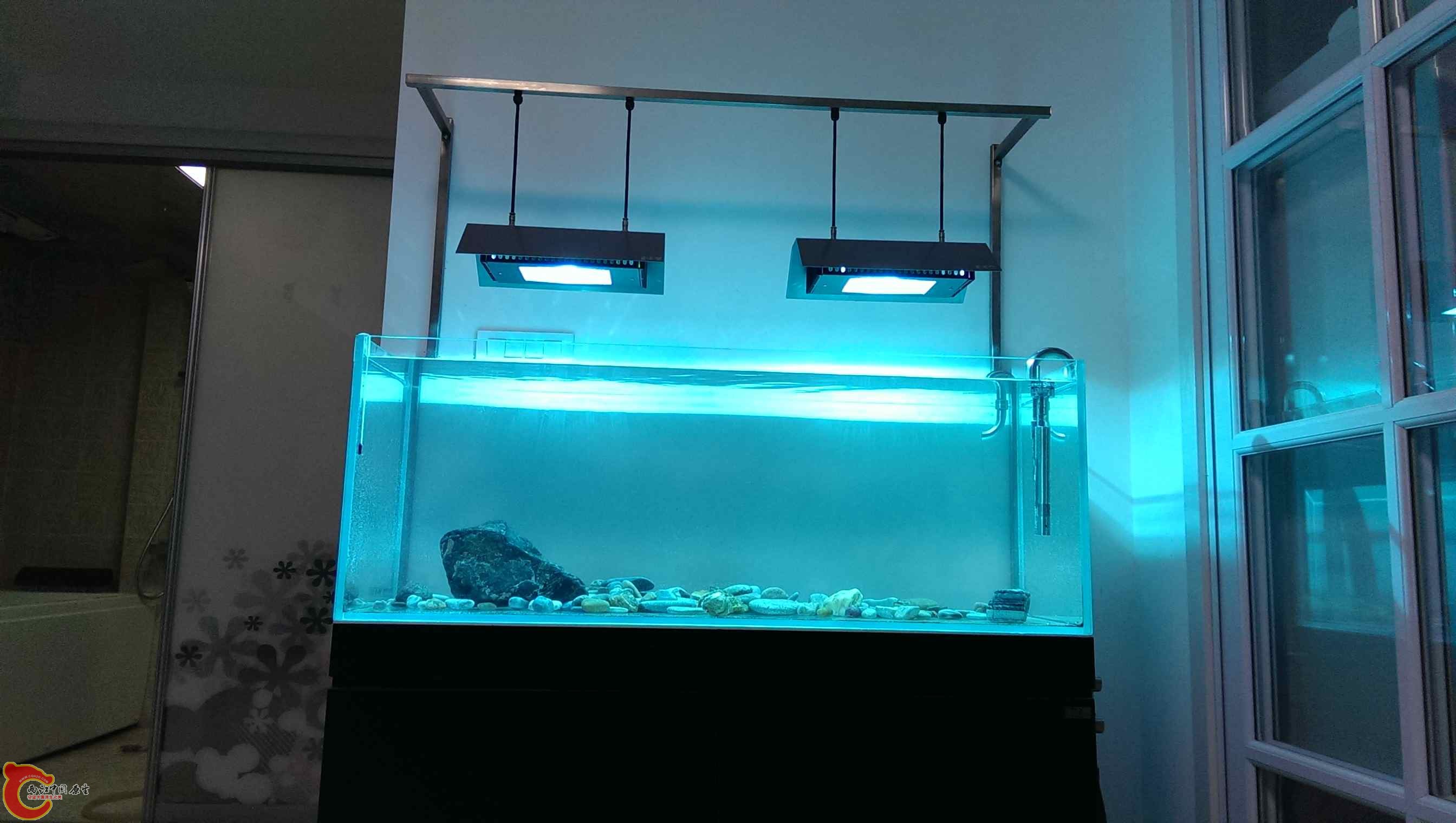 IMAG0242.jpg