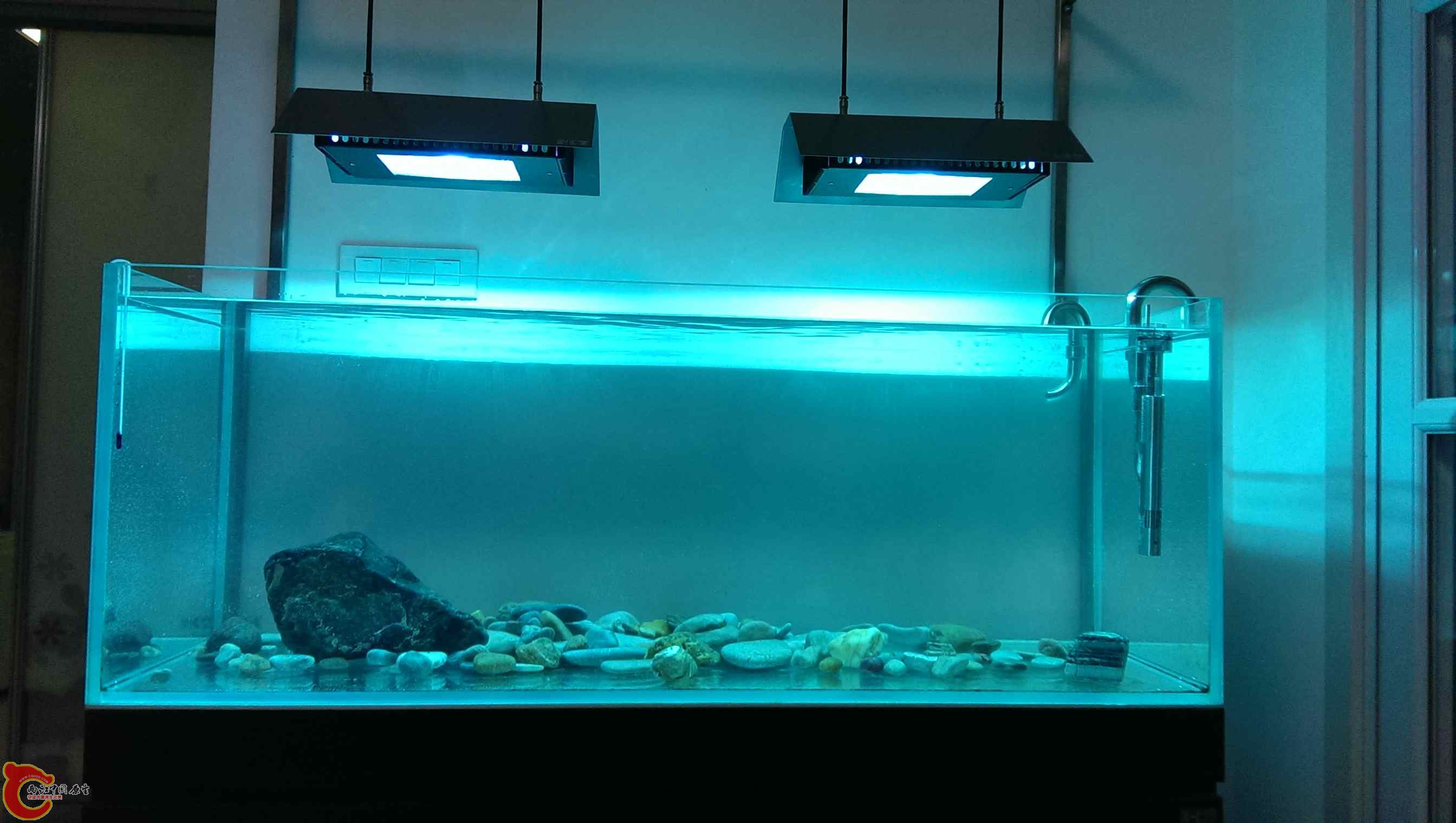 IMAG0244.jpg
