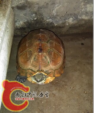 QQ图片20140604000224.jpg