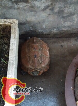 QQ图片20140604000241.jpg