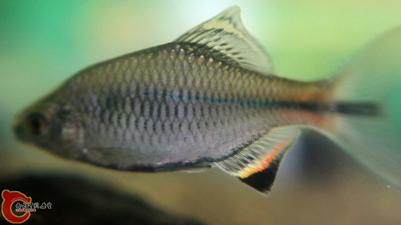 IMG_4484_副本.jpg