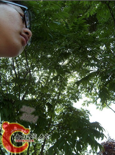 SL740011_副本.jpg
