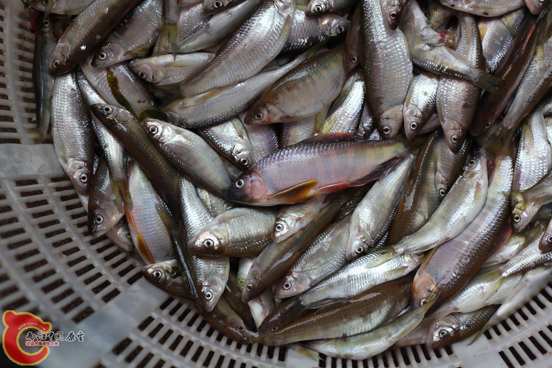 IMG_4578_副本.jpg