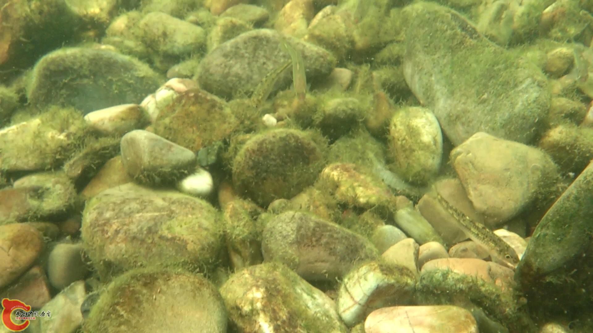 MOV_0099_20146903539.JPG