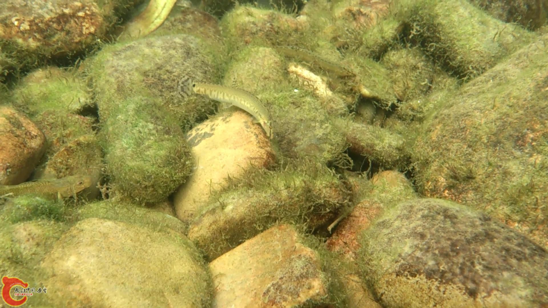 MOV_0099_20146904223.JPG