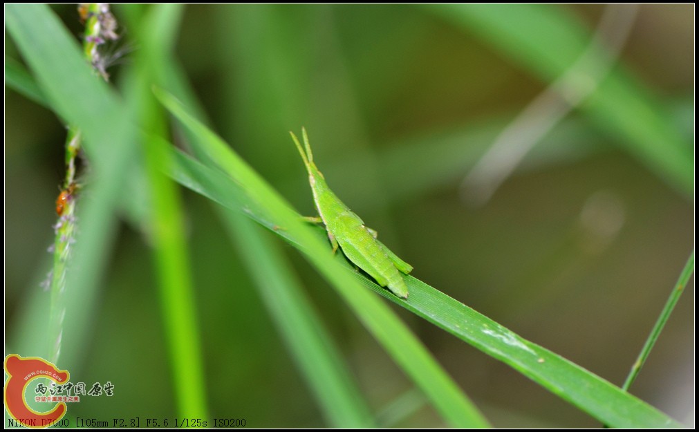 DSC_0132.jpg