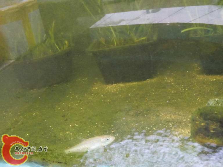 09.jpg