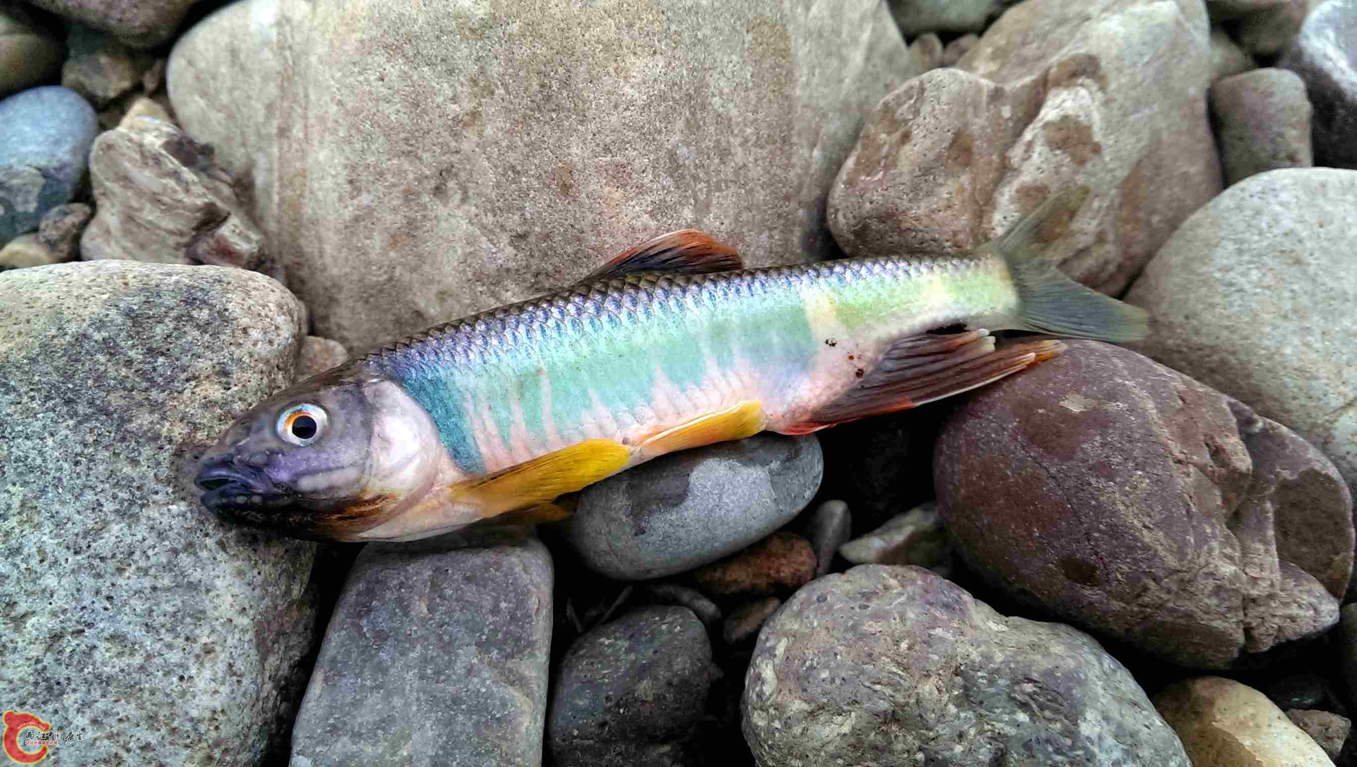 IMAG0280.jpg