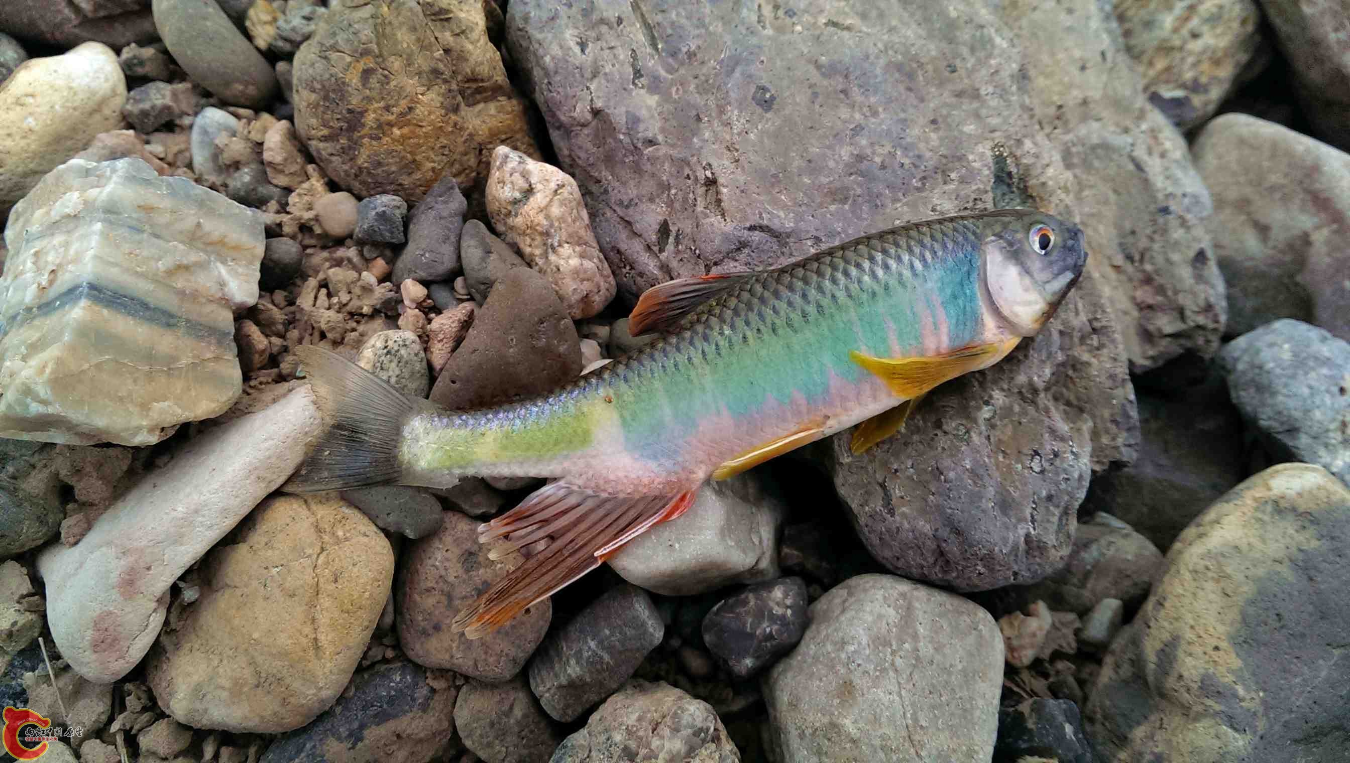 IMAG0281.jpg