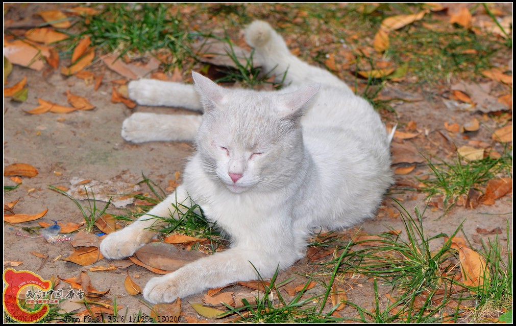 DSC_0244.jpg