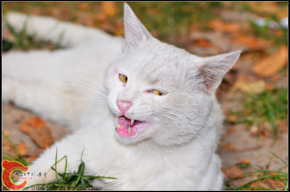 DSC_0255.jpg