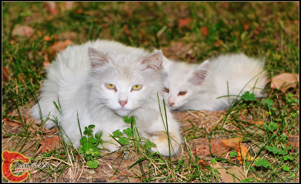 DSC_0259.jpg
