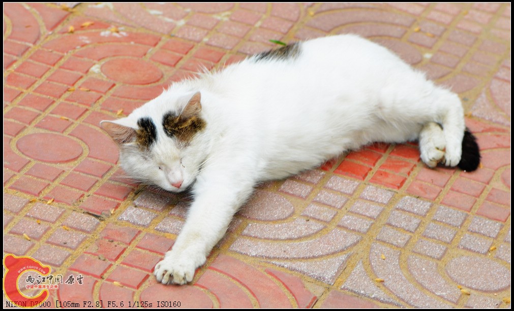 DSC_0262.jpg