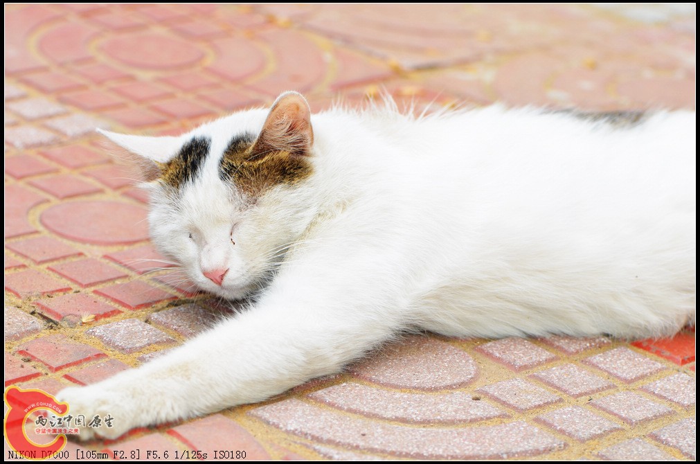 DSC_0263.jpg