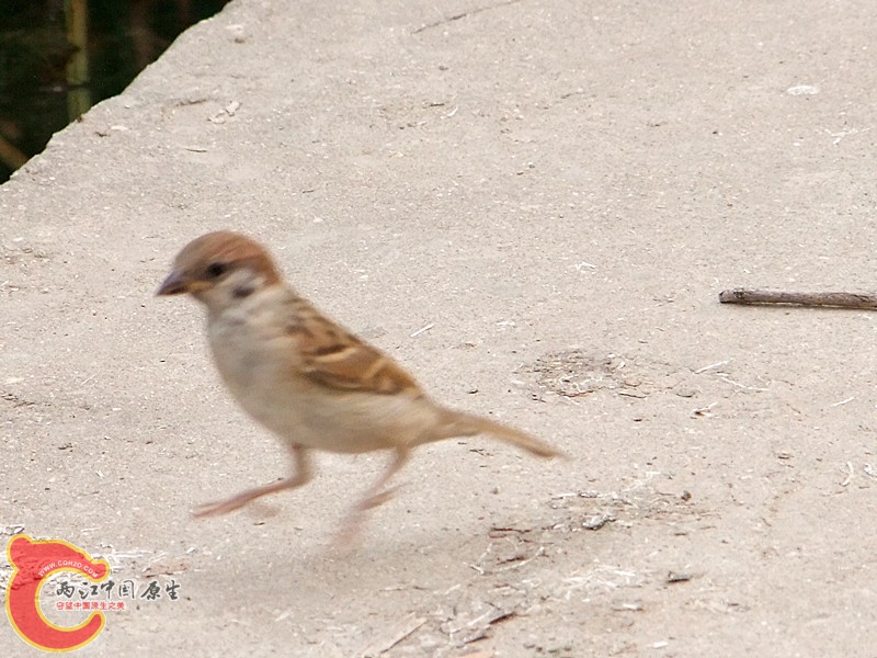 DSCF1243.JPG