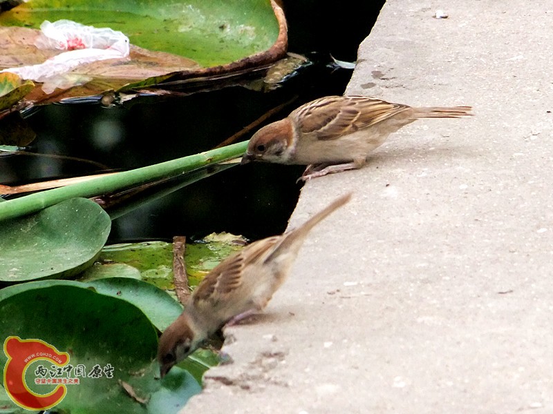 DSCF1249.JPG