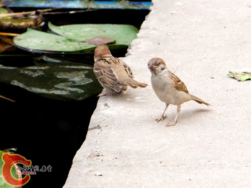 DSCF1256.JPG