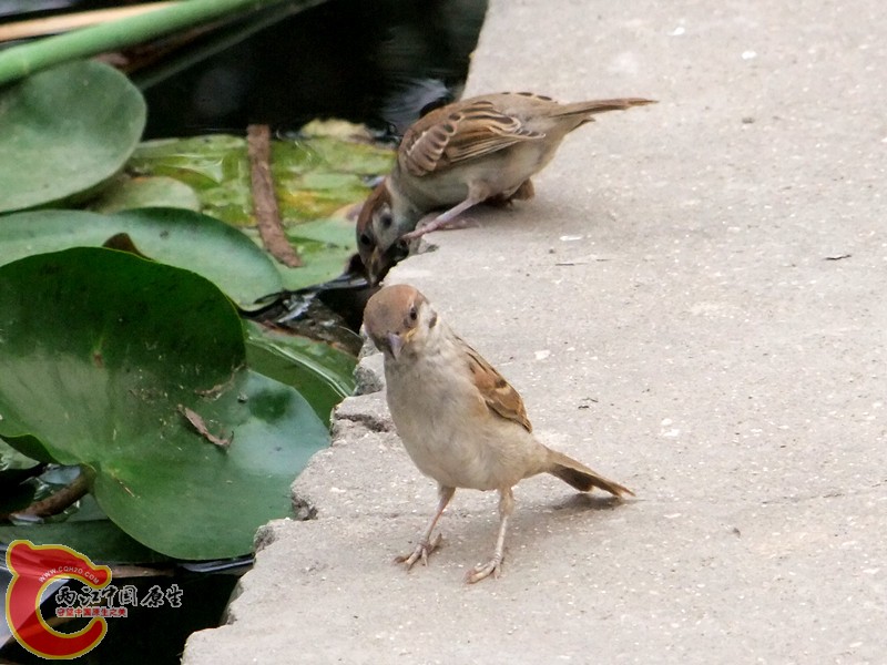 DSCF1259.JPG