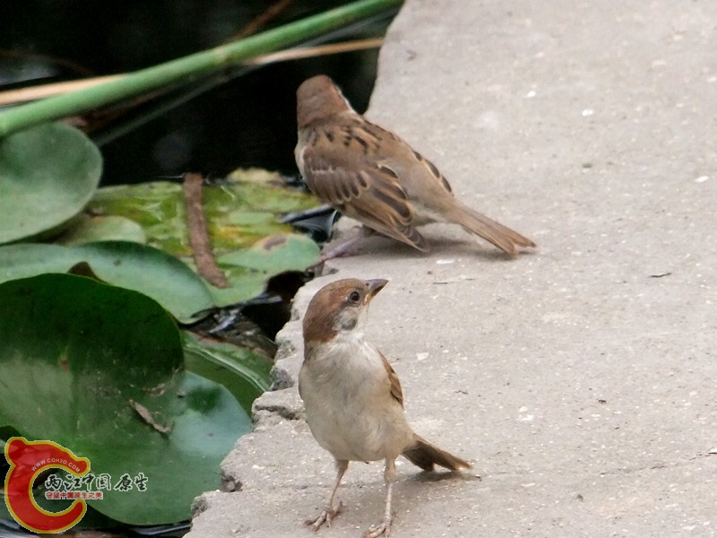 DSCF1260.JPG