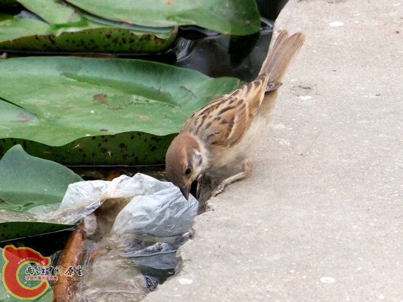 DSCF1264.JPG