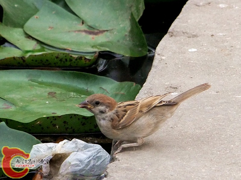 DSCF1266.JPG