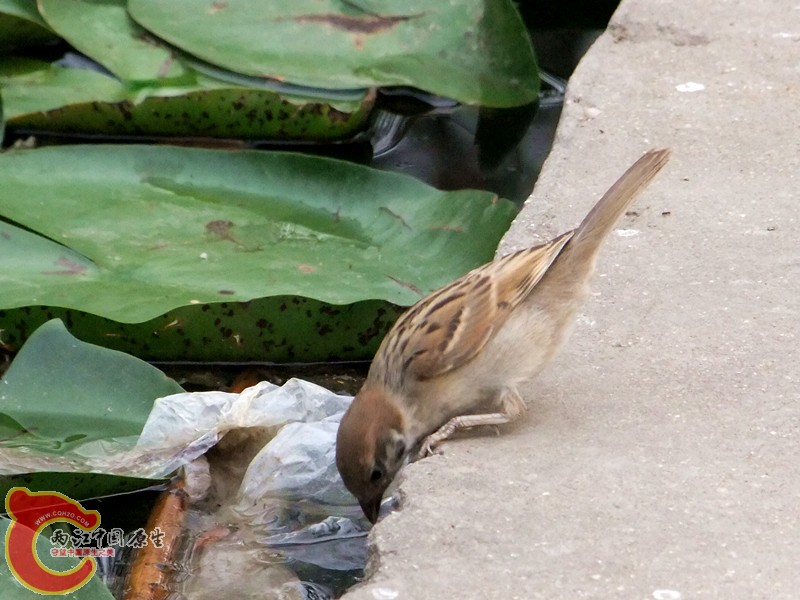DSCF1265.JPG