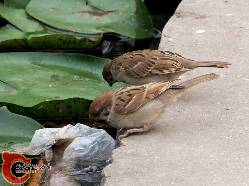 DSCF1268.JPG