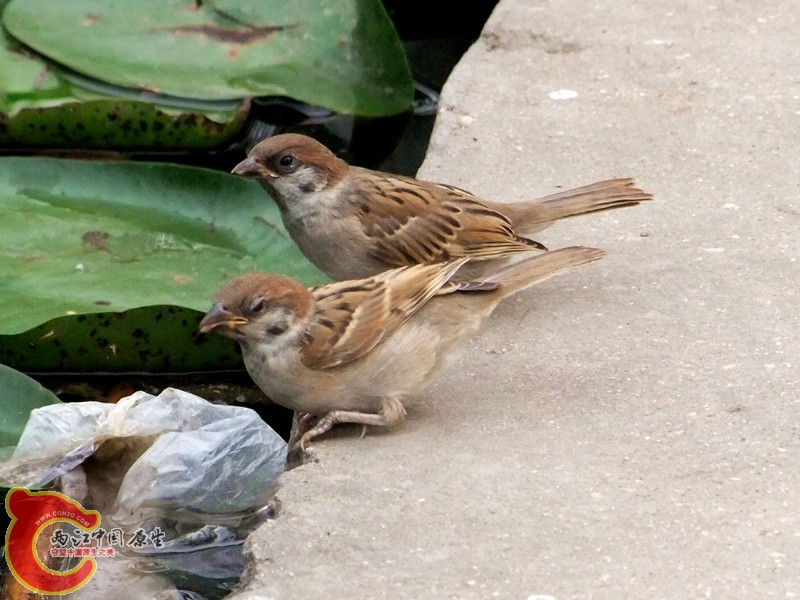 DSCF1269.JPG