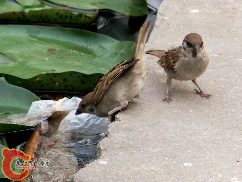 DSCF1270.JPG