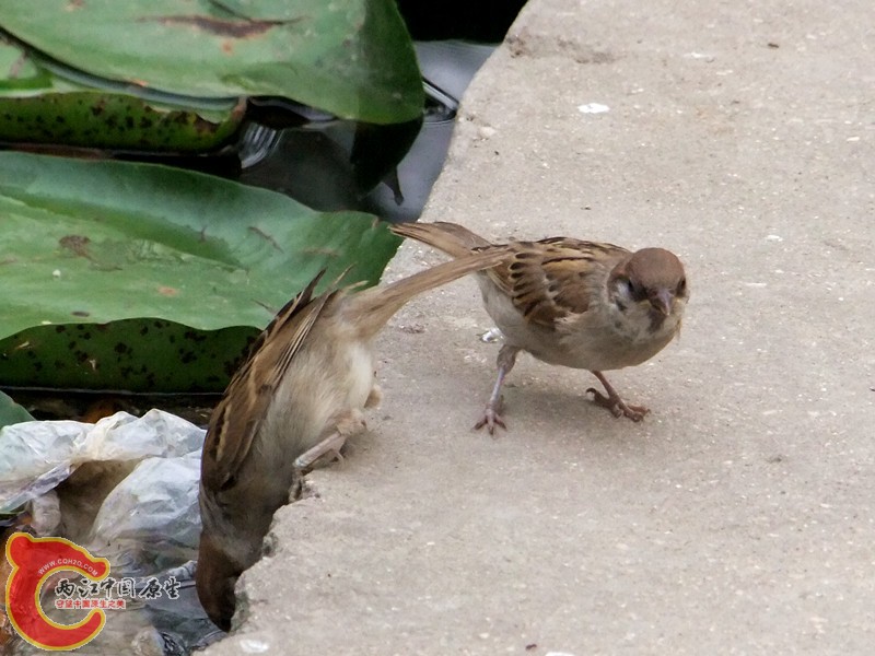 DSCF1271.JPG