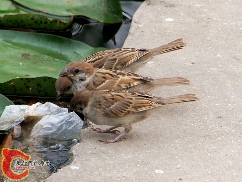 DSCF1273.JPG