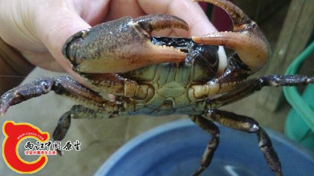 IMG_20140613_103902.jpg