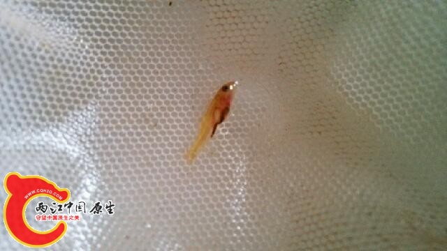 IMG_20140613_171820.jpg